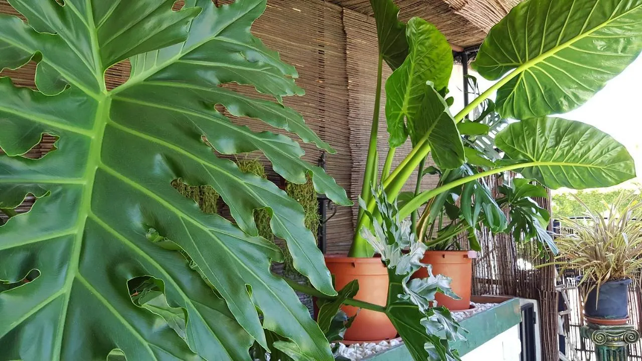 Posada Alpujarra Sol Orgiva