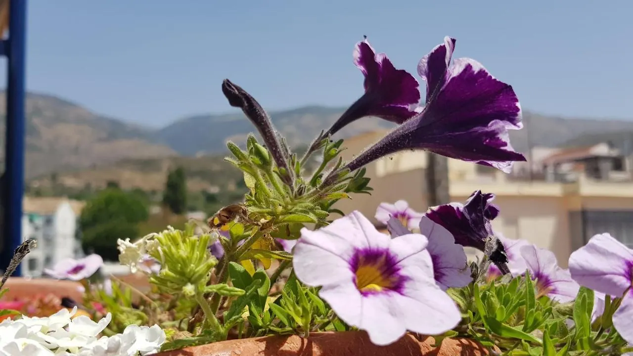 Posada Alpujarra Sol 奥尔希瓦