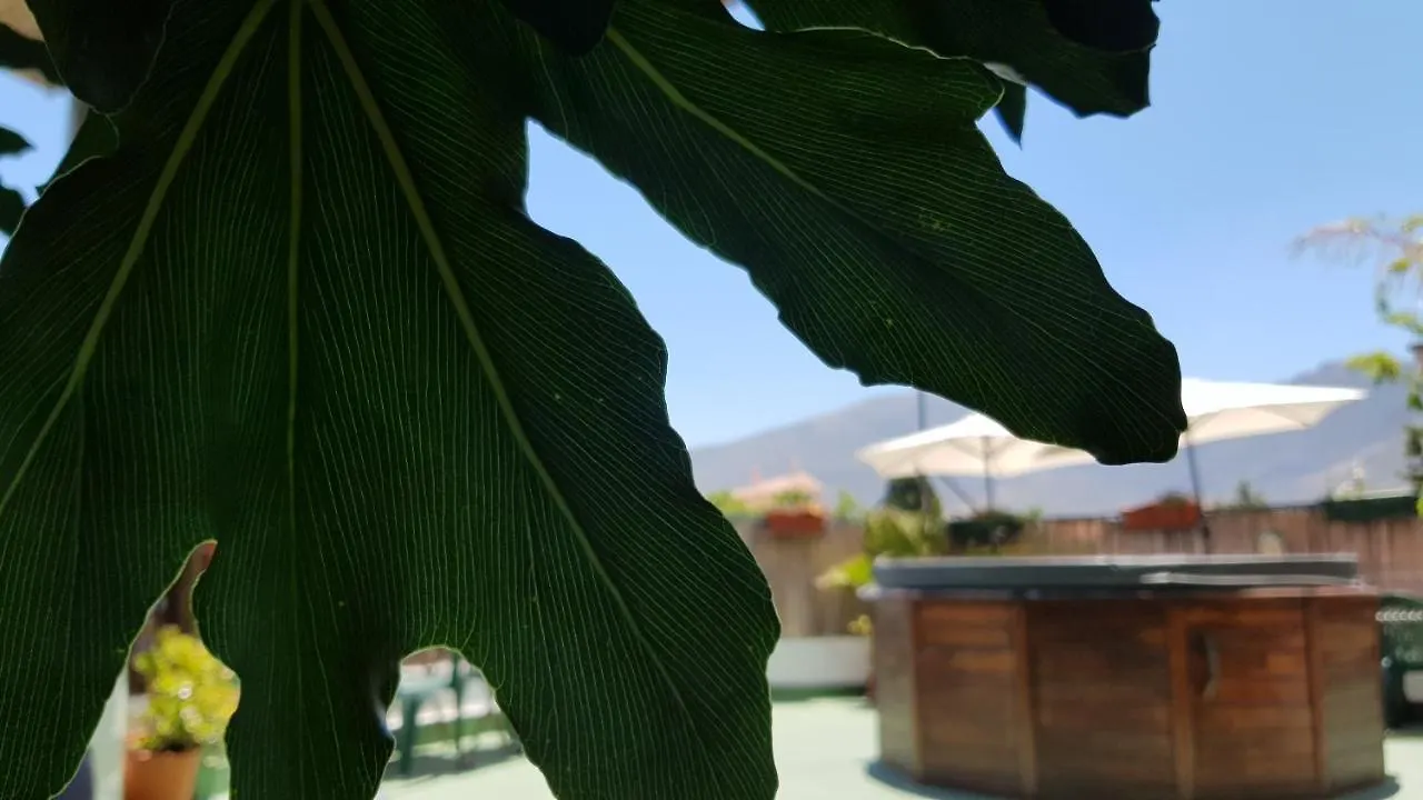Posada Alpujarra Sol 奥尔希瓦 招待所
